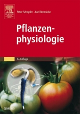 Pflanzenphysiologie - Peter Schopfer, Axel Brennicke