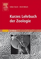 Kurzes Lehrbuch der Zoologie - Volker Storch, Ulrich Welsch