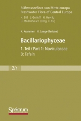S&uuml;&szlig;wasserflora von Mitteleuropa, Bd. 02/1: Bacillariophyceae, 1. Teil: Naviculaceae, A: Text; B: Tafeln - Kurt Krammer, Horst Lange-Bertalot