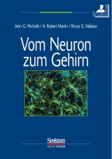 Vom Neuron zum Gehirn - Nicholls, John G; Martin, Robert; Wallace, Bruce G
