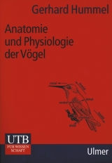 Anatomie und Physiologie der Vögel - Hummel, Gerhard