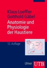 Anatomie und Physiologie der Haustiere - Klaus Loeffler, Gotthold G&auml;bel