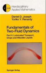 Fundamentals of Two-Fluid Dynamics - Daniel D. Joseph, Yuriko Y. Renardy