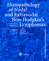 Histopathology of Nodal and Extranodal Non-Hodgkin&rsquo;s Lymphomas - Alfred C. Feller, Jacques Diebold
