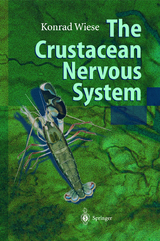 The Crustacean Nervous System - 