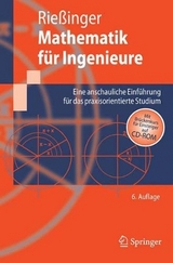 Mathematik für Ingenieure - Thomas Riessinger