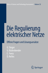 Die Regulierung elektrischer Netze - Ulrich Steger, Ulrich B&uuml;denbender, Eberhard Feess, Dieter Nelles
