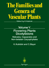 Flowering Plants &middot; Dicotyledons - 