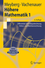 Höhere Mathematik 1 - Meyberg, Kurt; Vachenauer, Peter