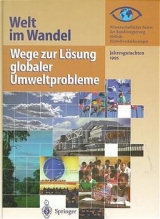 Welt im Wandel: Wege zur L&ouml;sung globaler Umweltprobleme