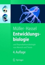 Entwicklungsbiologie - Werner A. M&uuml;ller, Monika Hassel