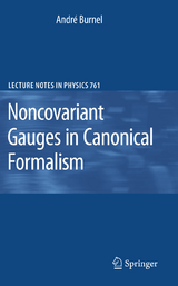 Noncovariant Gauges in Canonical Formalism - Andr&eacute; Burnel
