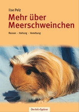 Mehr &uuml;ber Meerschweinchen - Ilse Pelz