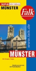 Münster Falkfaltung - 