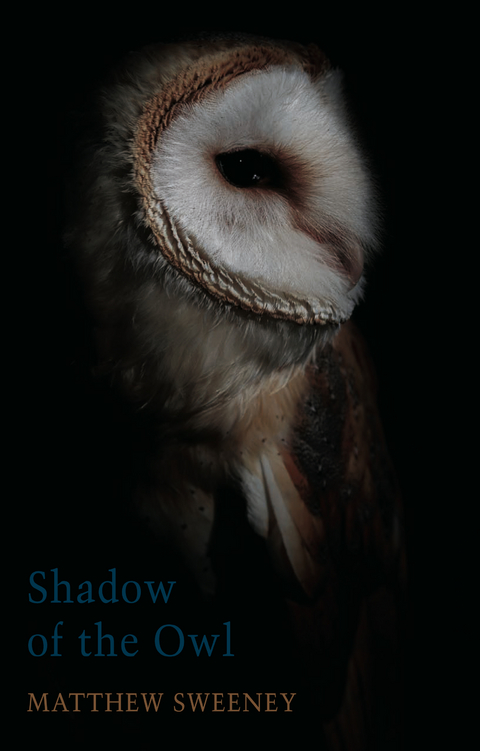 Shadow of the Owl - Matthew Sweeney