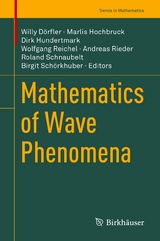 Mathematics of Wave Phenomena - 