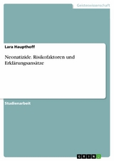 Neonatizide. Risikofaktoren und Erkl&auml;rungsans&auml;tze - Lara Haupthoff