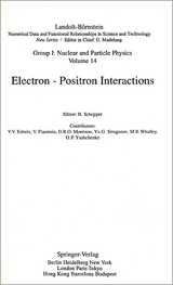 Electron - Positron Interactions - 