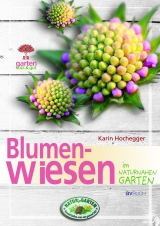 Blumenwiesen - Karin Hochegger