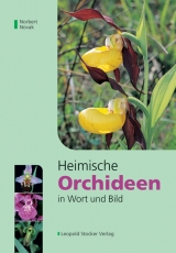 Heimische Orchideen in Wort und Bild - Norbert Novak