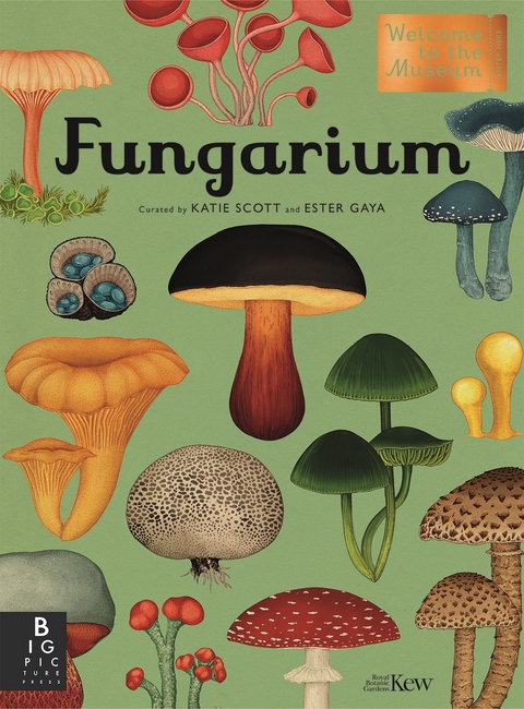 Fungarium - Ester Gaya