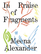 In Praise of Fragments - Meena Alexander