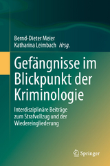 Gefängnisse im Blickpunkt der Kriminologie - 