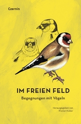 Im freien Feld - 