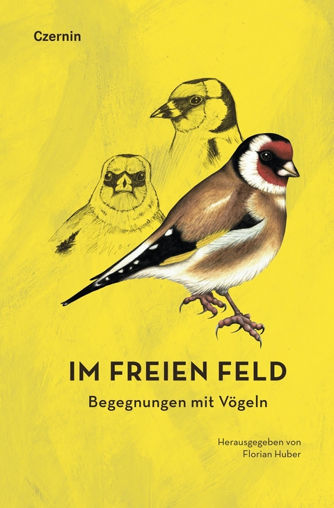 Im freien Feld - 