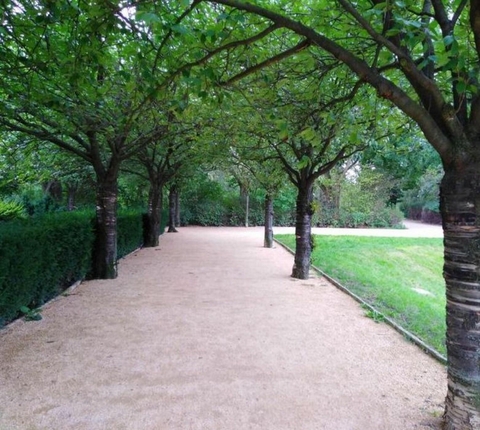 Corona? Geht doch mich und meine Freunde nichts an&hellip;. oder doch? - L.K. Bach