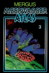 Meerwasser Atlas / Wirbellose Tiere