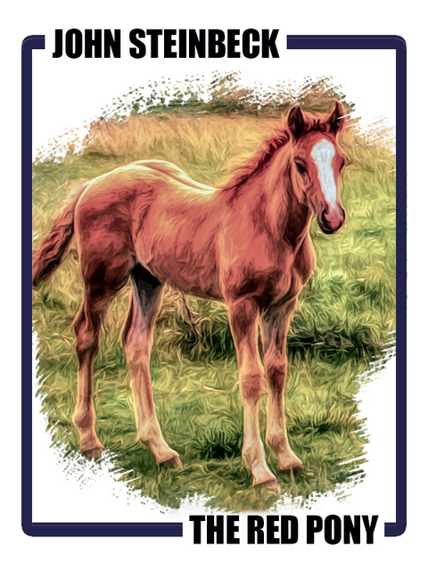 Red Pony -  John Steinbeck