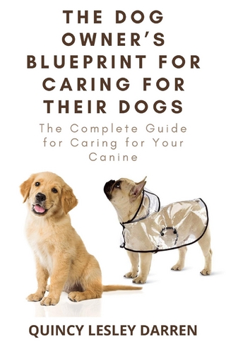 The Dog Owner’s Blueprint for Caring for Their Dogs