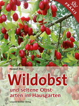 Wildobst und seltene Obstarten im Hausgarten - Helmut Pirc
