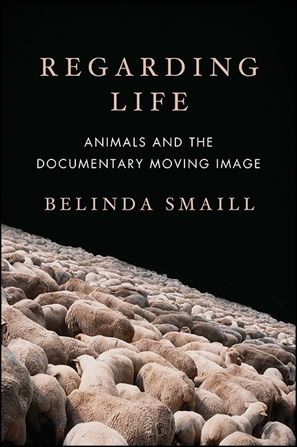 Regarding Life - Belinda Smaill