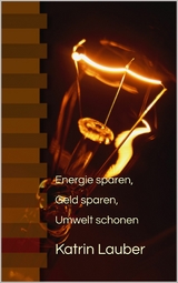 Energie sparen, Geld sparen, Umwelt schonen - Katrin Lauber