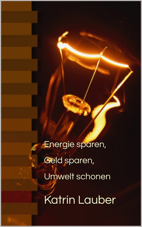 Energie sparen, Geld sparen, Umwelt schonen - Katrin Lauber