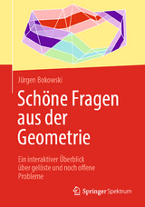 Schöne Fragen aus der Geometrie -  Jürgen Bokowski