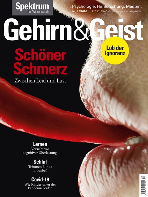 Gehirn&Geist 12/2020 Sch&ouml;ner Schmerz