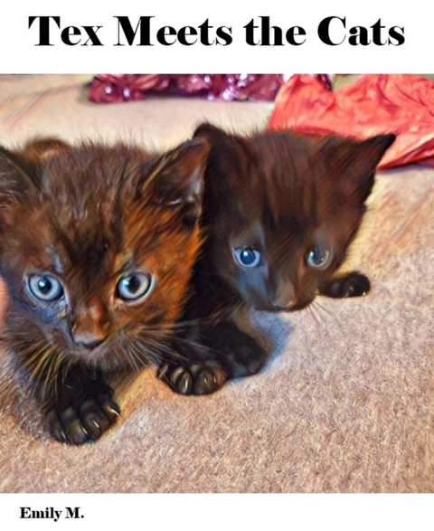 Big Tex & Friends: Tex Meets the Cats - Emily M.