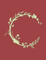 Ready Set Cook - Jerome Cortellesi