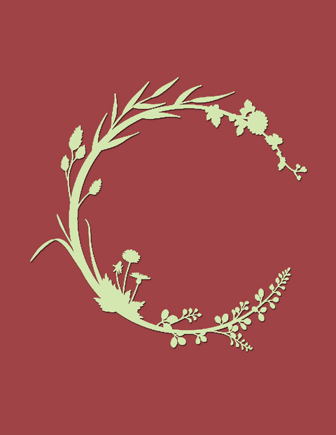 Ready Set Cook - Jerome Cortellesi