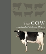 The Cow - Catrin Rutland