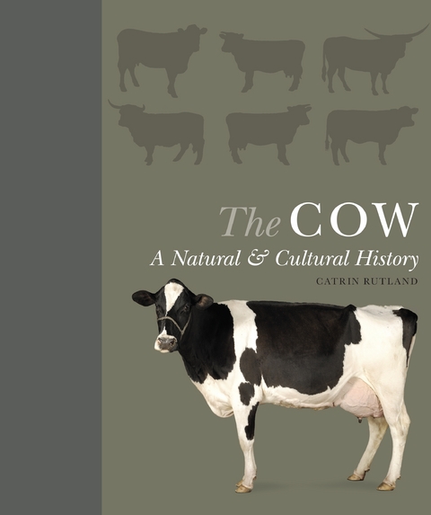 The Cow - Catrin Rutland