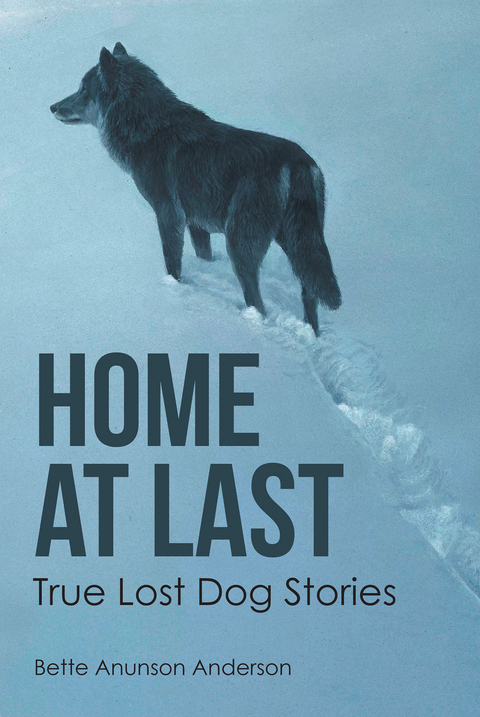 Home at last - Bette Anunson Anderson