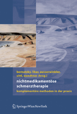 Nichtmedikament&ouml;se Schmerztherapie - 