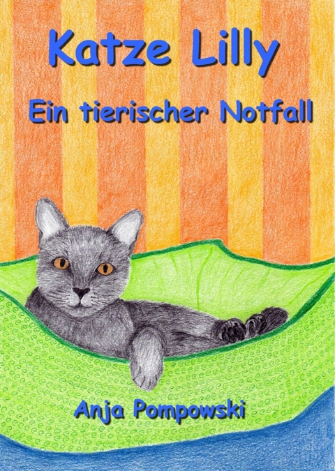 Katze Lilly &ndash; Ein tierischer Notfall - Anja Pompowski