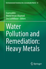 Water Pollution and Remediation: Heavy Metals - 