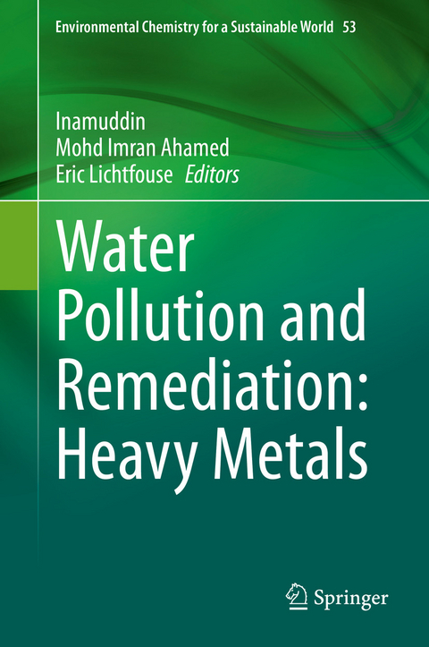 Water Pollution and Remediation: Heavy Metals - 