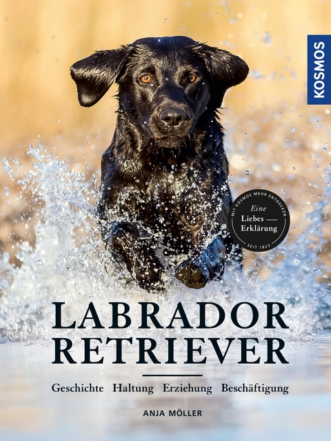 Labrador Retriever - Anja M&ouml;ller